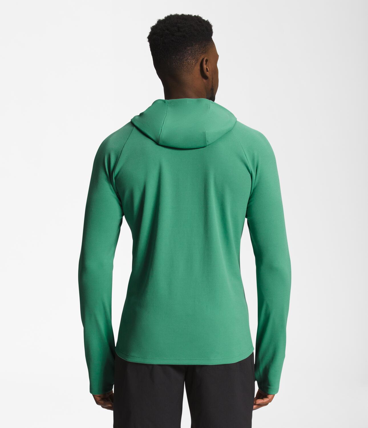 Buzo Wander Sun Hoodie Verde Hombre The North Face - imagen 2