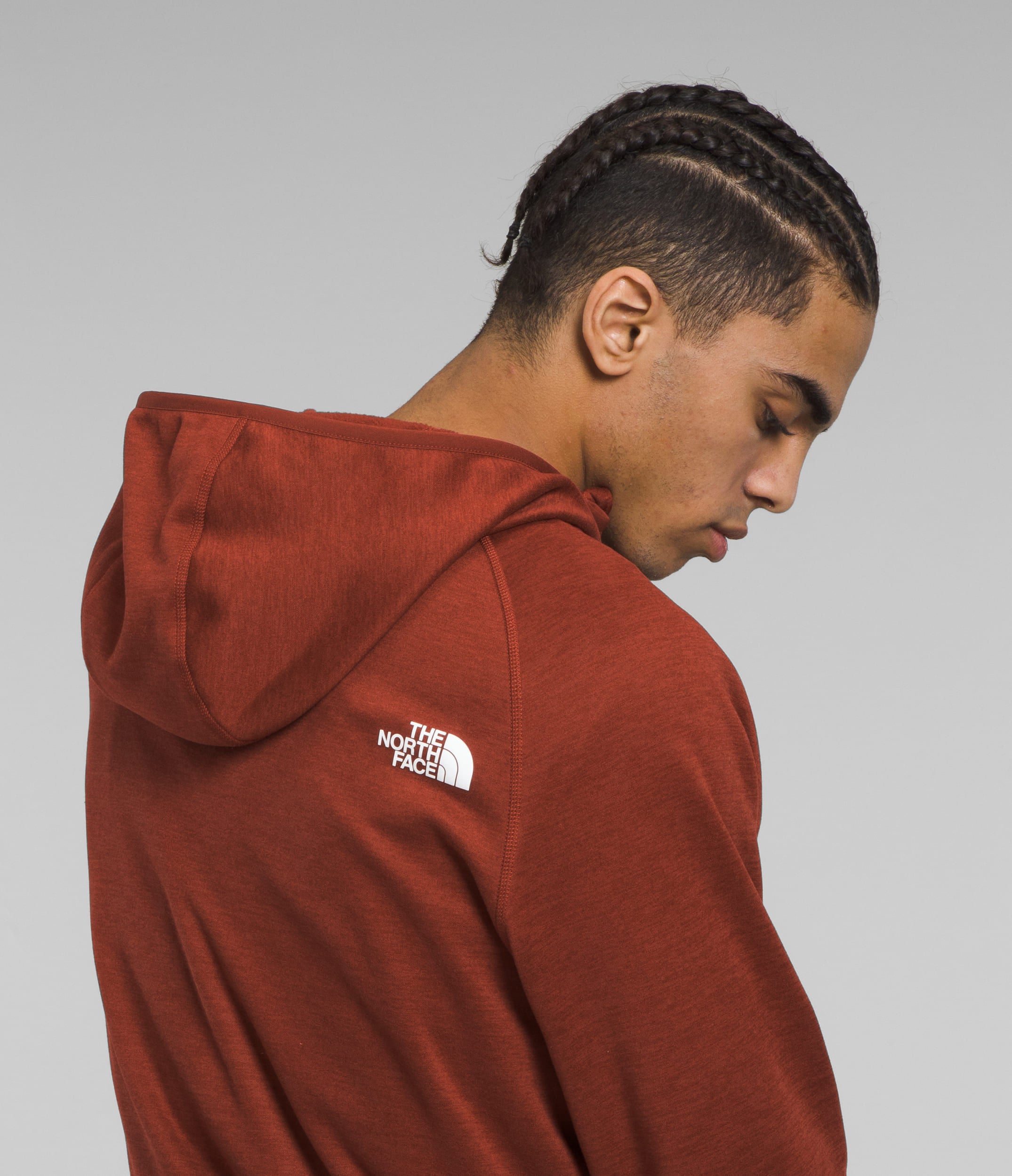 Buzo Canyonlands Hoodie Café Hombre The North Face - imagen 4