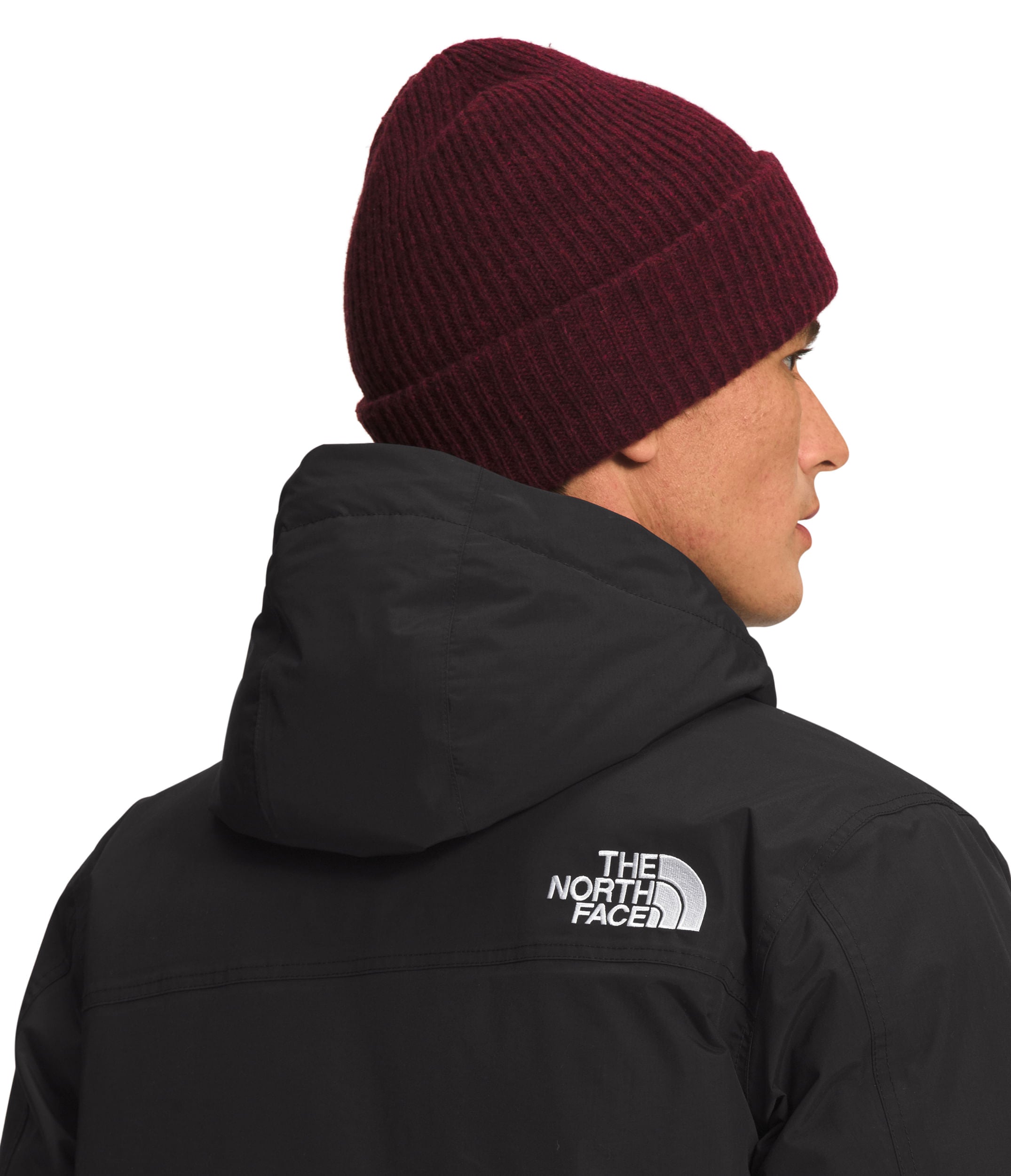 Chaqueta Mcmurdo Bomber Negra Hombre The North Face - imagen 5