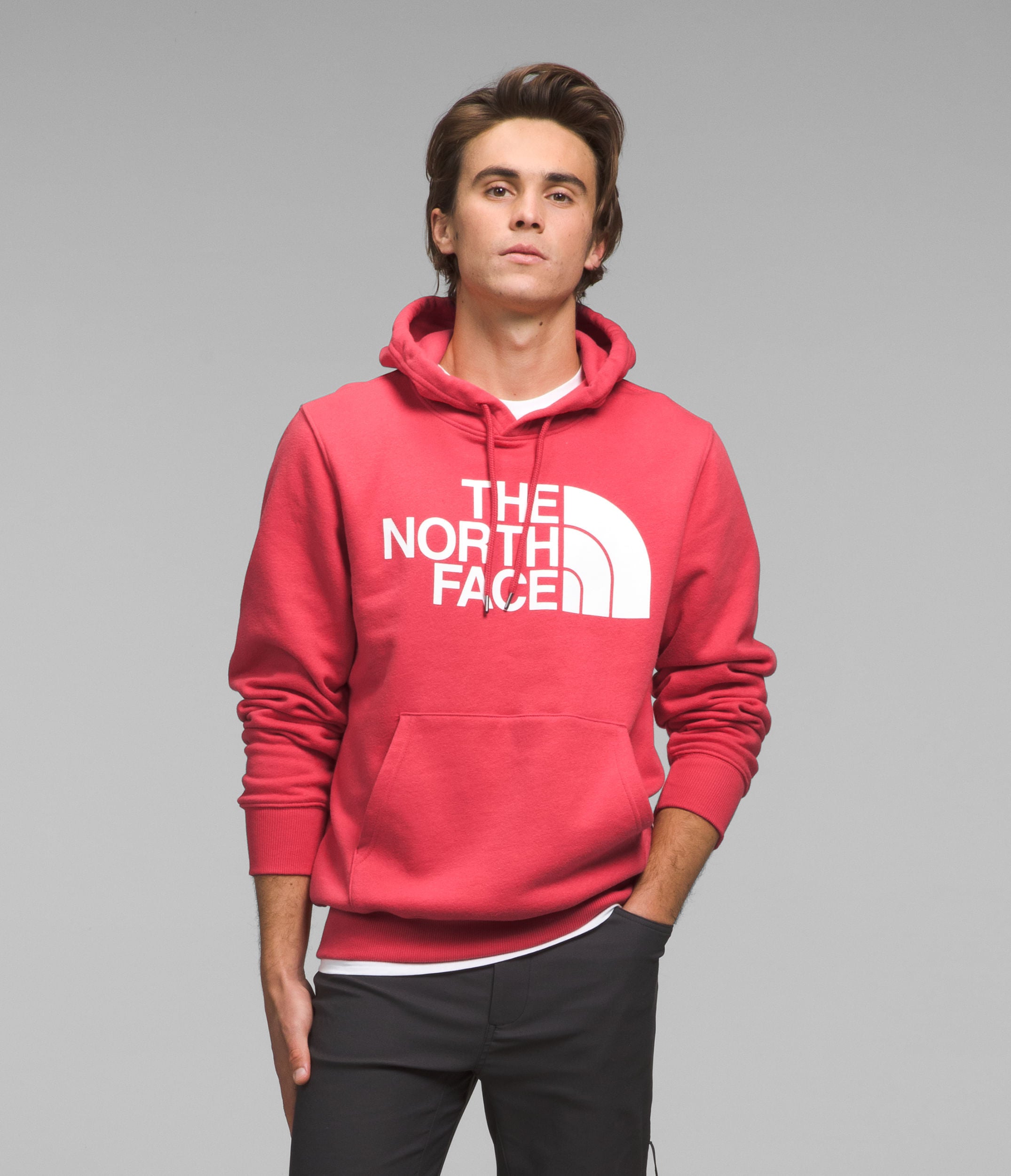 Buzo Half Dome Pullover Hoodie Rojo Hombre The North Face - imagen 1