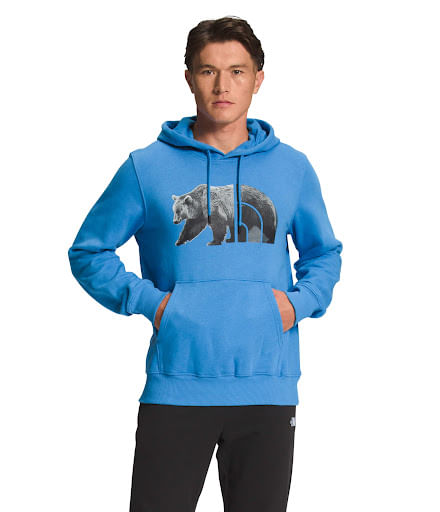 Buzo Tnf Bear Pullover Hoodie Azul Hombre The North Face - imagen 1