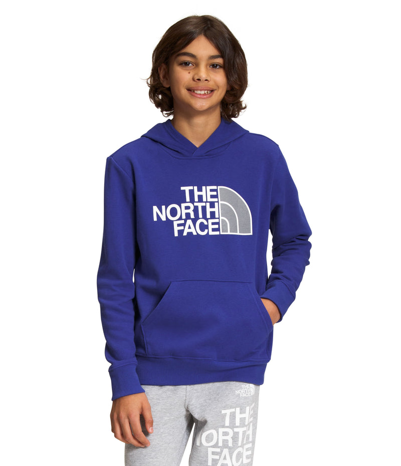 Buzo Camp Fleece P/O Deportivo Azul Niño The North Face - imagen 1