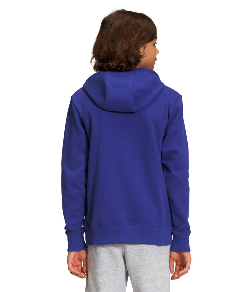 Buzo Camp Fleece P/O Deportivo Azul Niño The North Face - imagen 2