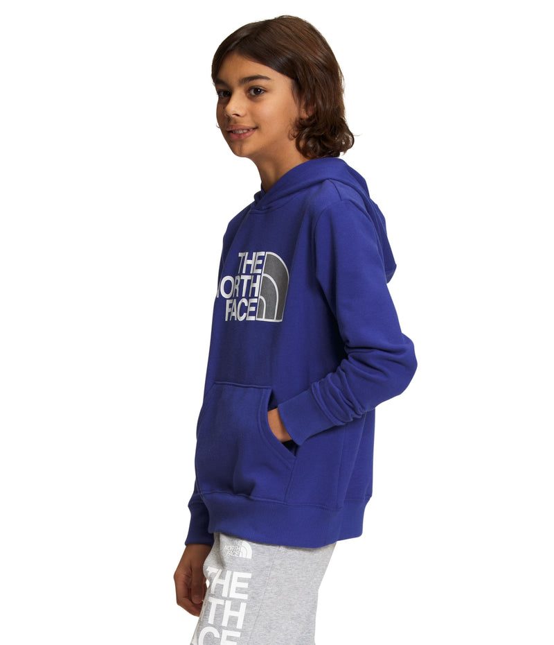 Buzo Camp Fleece P/O Deportivo Azul Niño The North Face - imagen 3