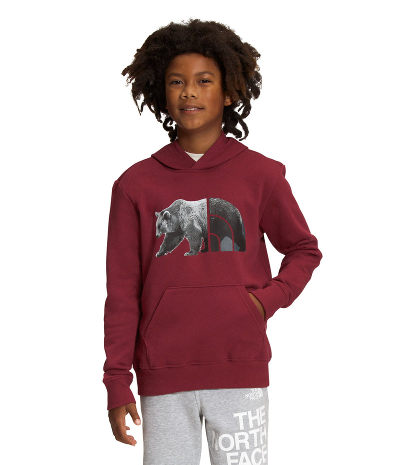 Buzo Camp Fleece P/O Deportivo Vinotinto Niño The North Face - imagen 1