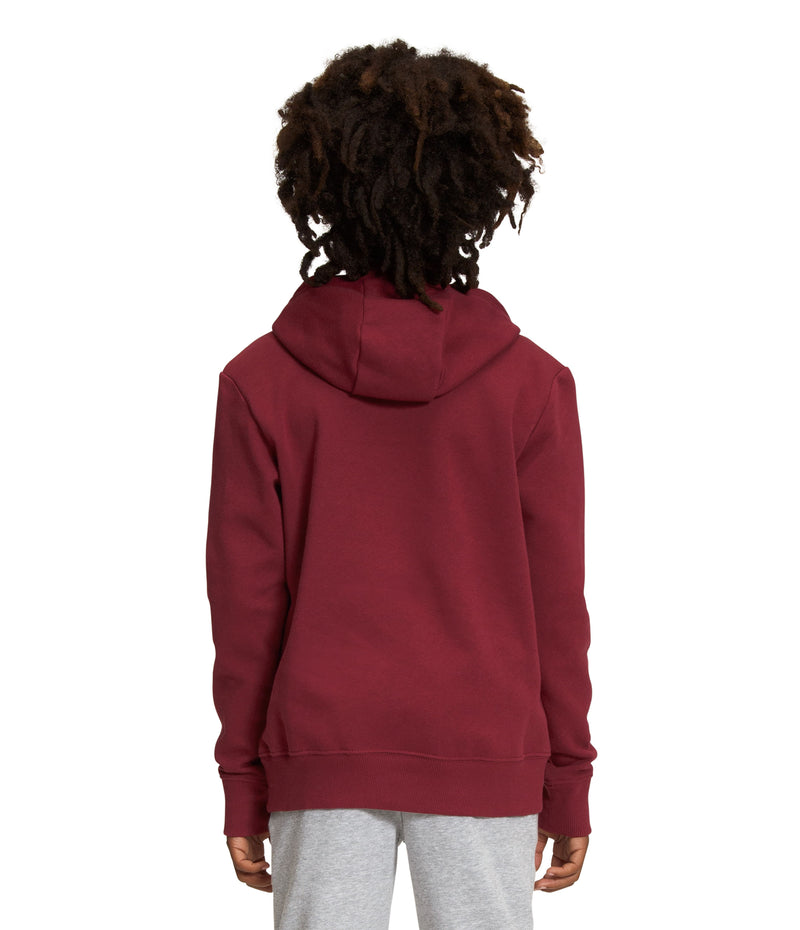 Buzo Camp Fleece P/O Deportivo Vinotinto Niño The North Face - imagen 2