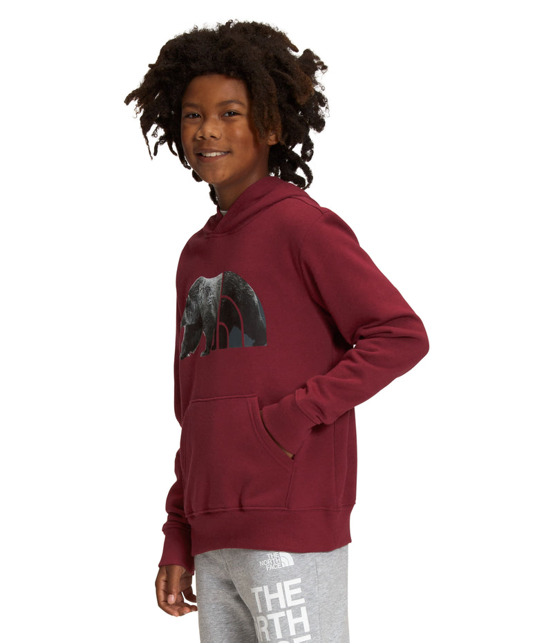 Buzo Camp Fleece P/O Deportivo Vinotinto Niño The North Face - imagen 3