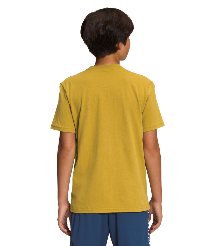 Camiseta Graphic Tee Manga Corta Mostaza Niño The North Face - imagen 2