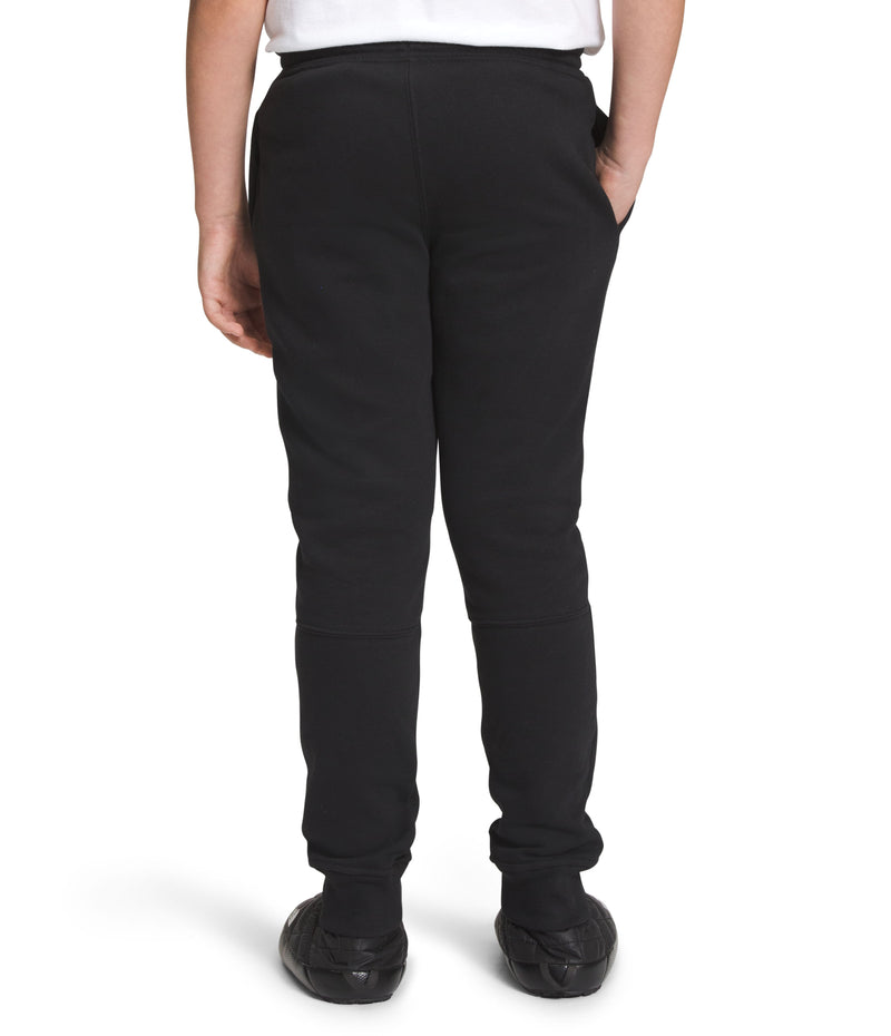 Pantalón Camp Fleece Jogger Negro Niño The North Face - imagen 2