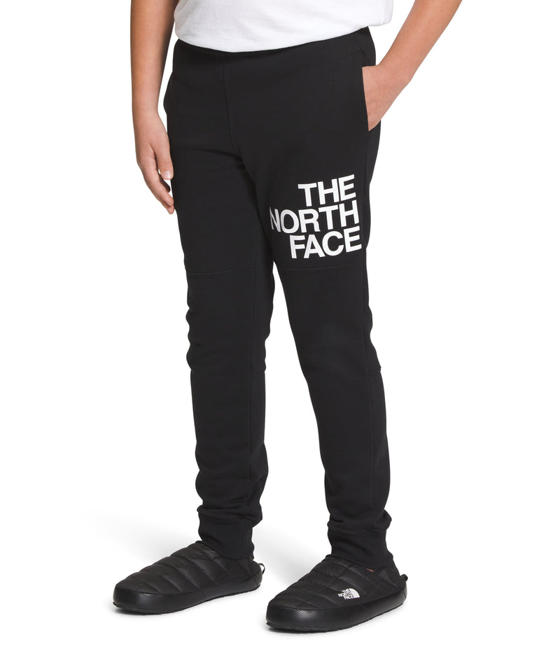 Pantalón Camp Fleece Jogger Negro Niño The North Face - imagen 3