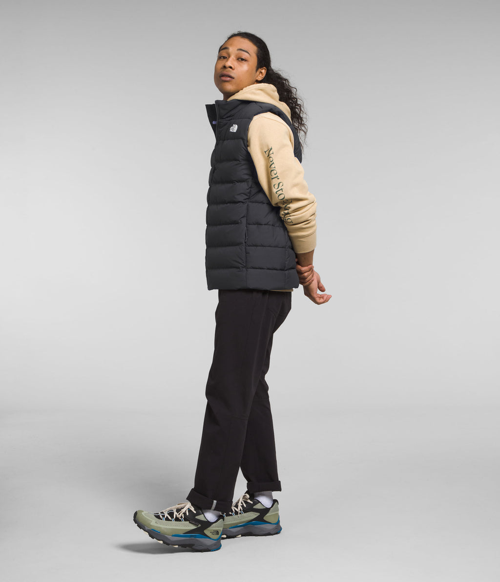 Chaleco Aconcagua 3 Vest Gris Hombre The North Face - imagen 5
