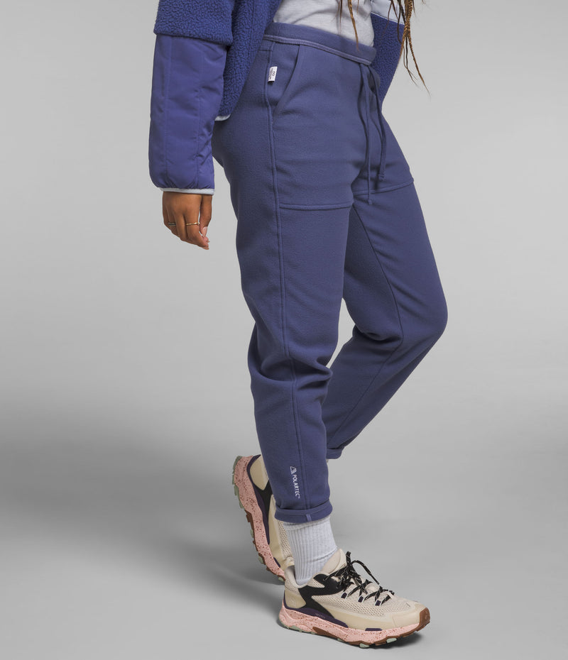 Pantalón Alpine Polartec 100 Azul Mujer The North Face - imagen 3