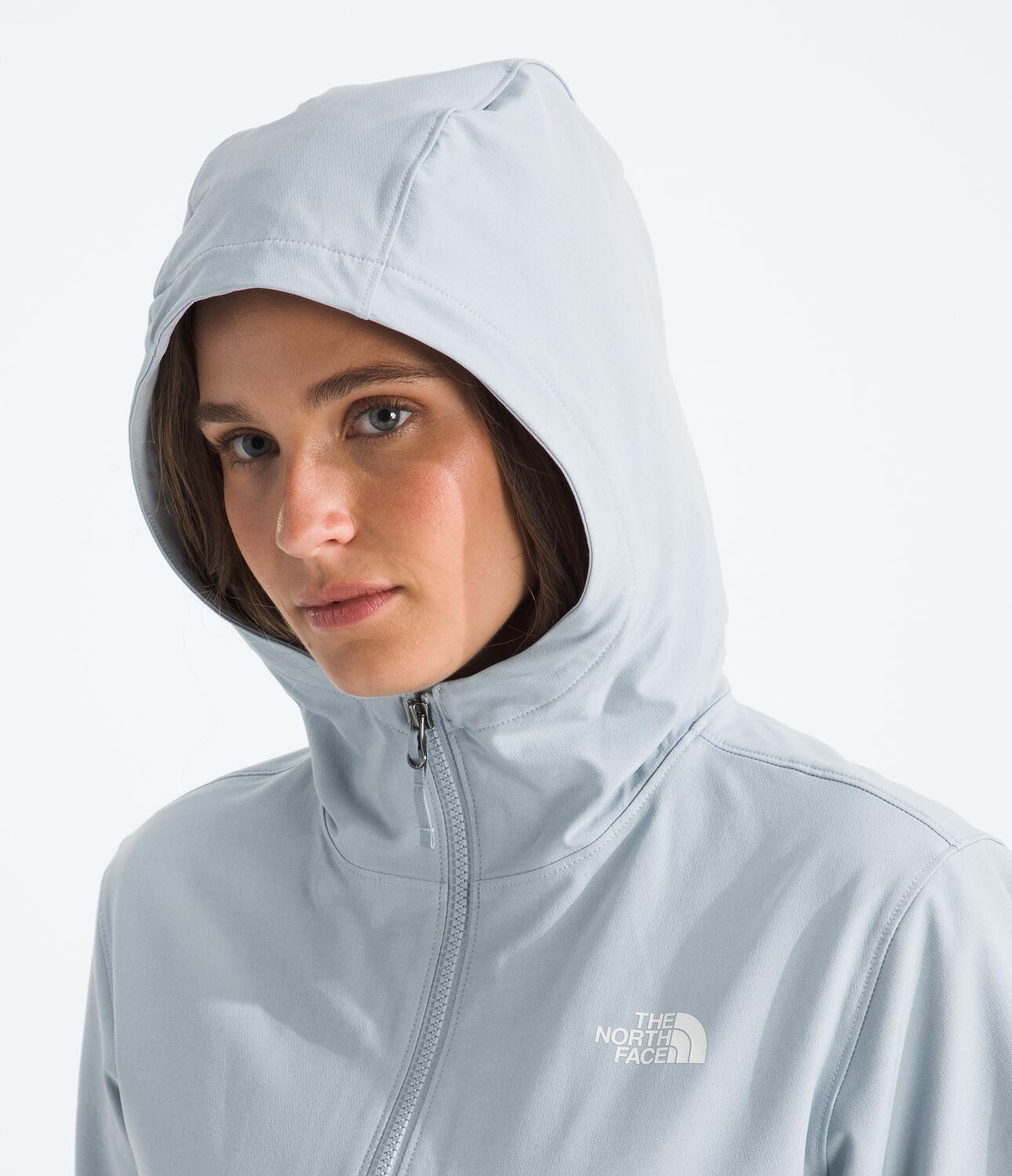 Chaqueta Rompevientos Shelbe Raschel Hoodie Gris Mujer The North Face