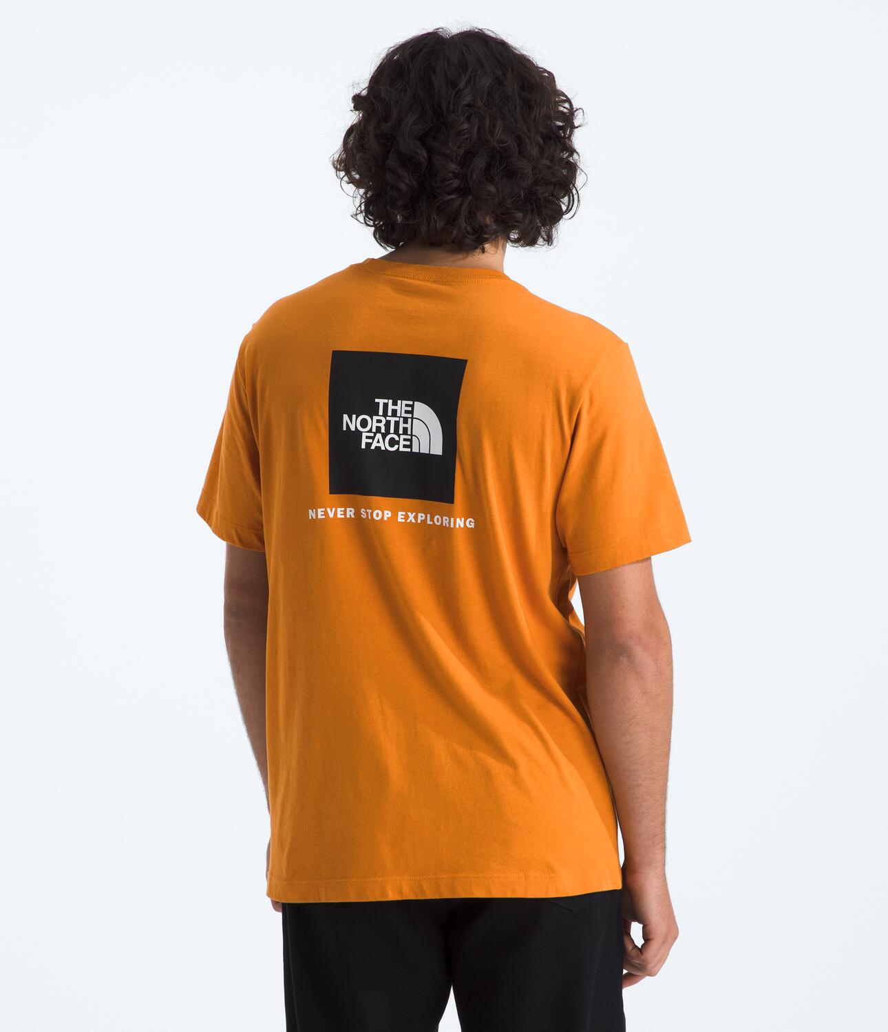 Camiseta Evolution Box Nse Short Sleeve Tee Naranja Hombre The North Face