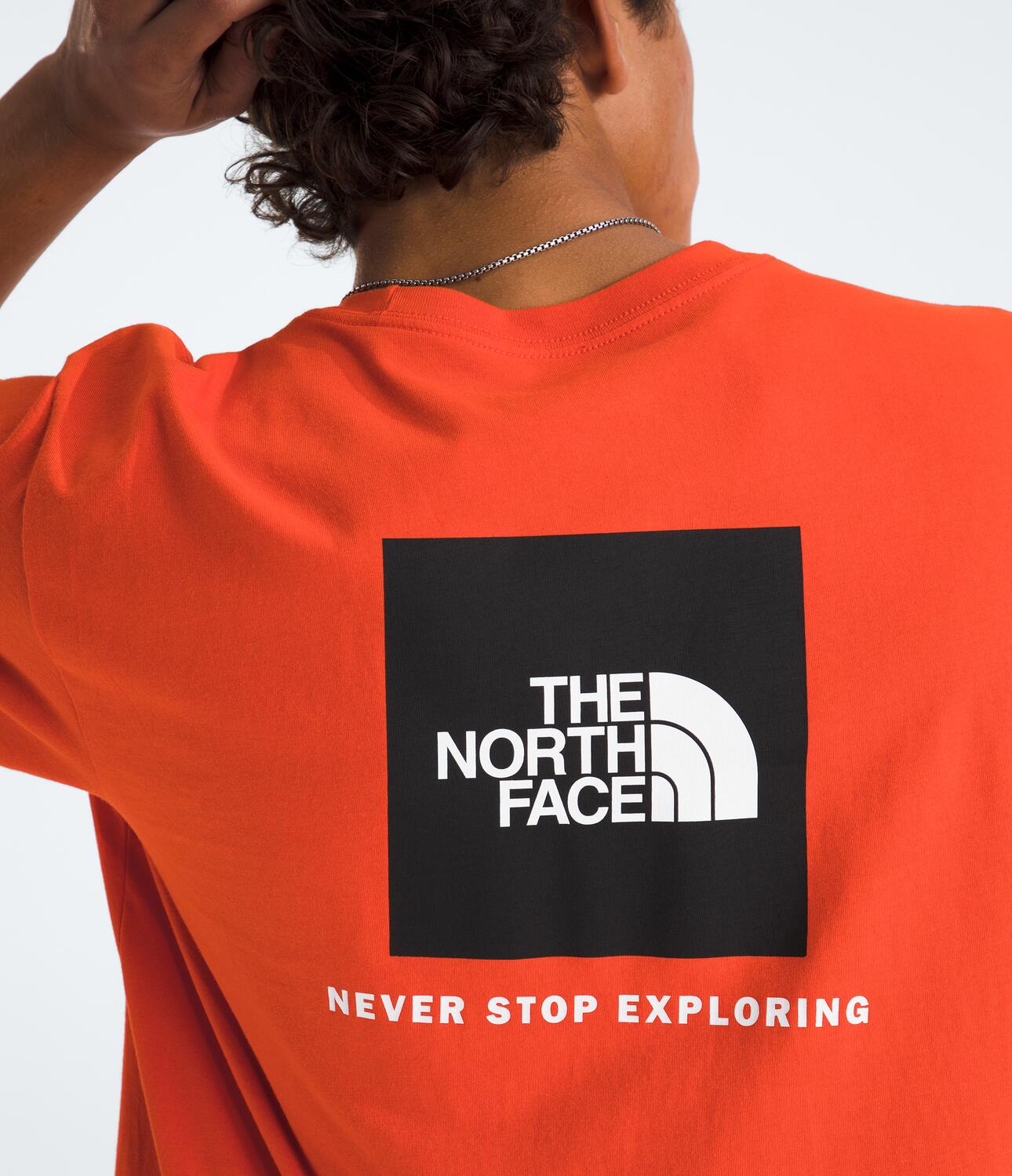 Camiseta Evolution Box Nse Short Sleeve Tee Roja Hombre The North Face