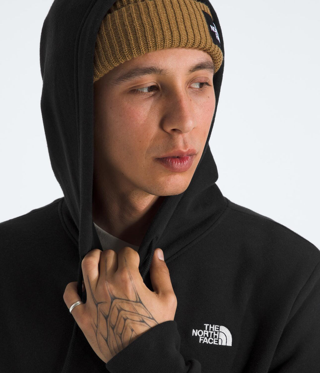 Buzo Evolution Simple Dome Hoodie Negro Hombre The North Face