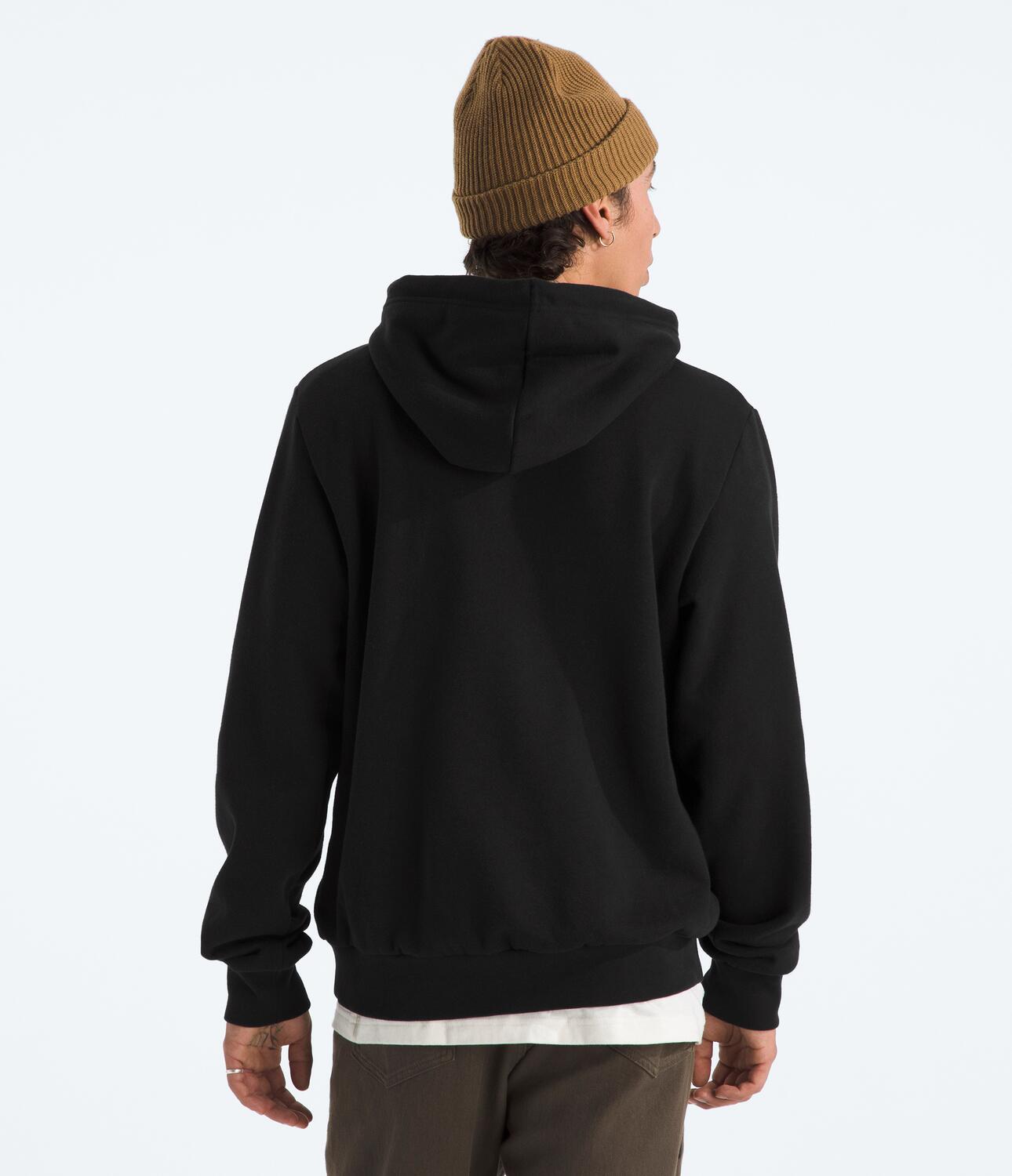 Buzo Evolution Simple Dome Hoodie Negro Hombre The North Face