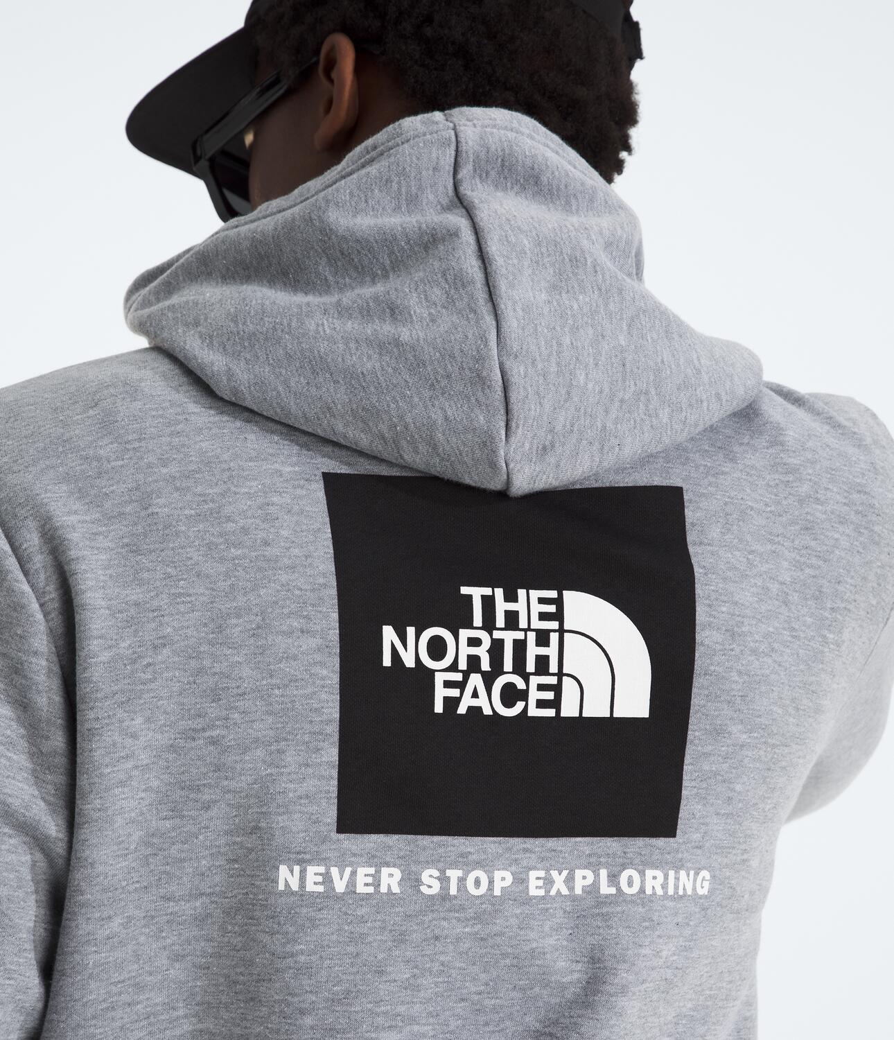 Buzo Evolution Box Nse Hoodie Gris Hombre The North Face