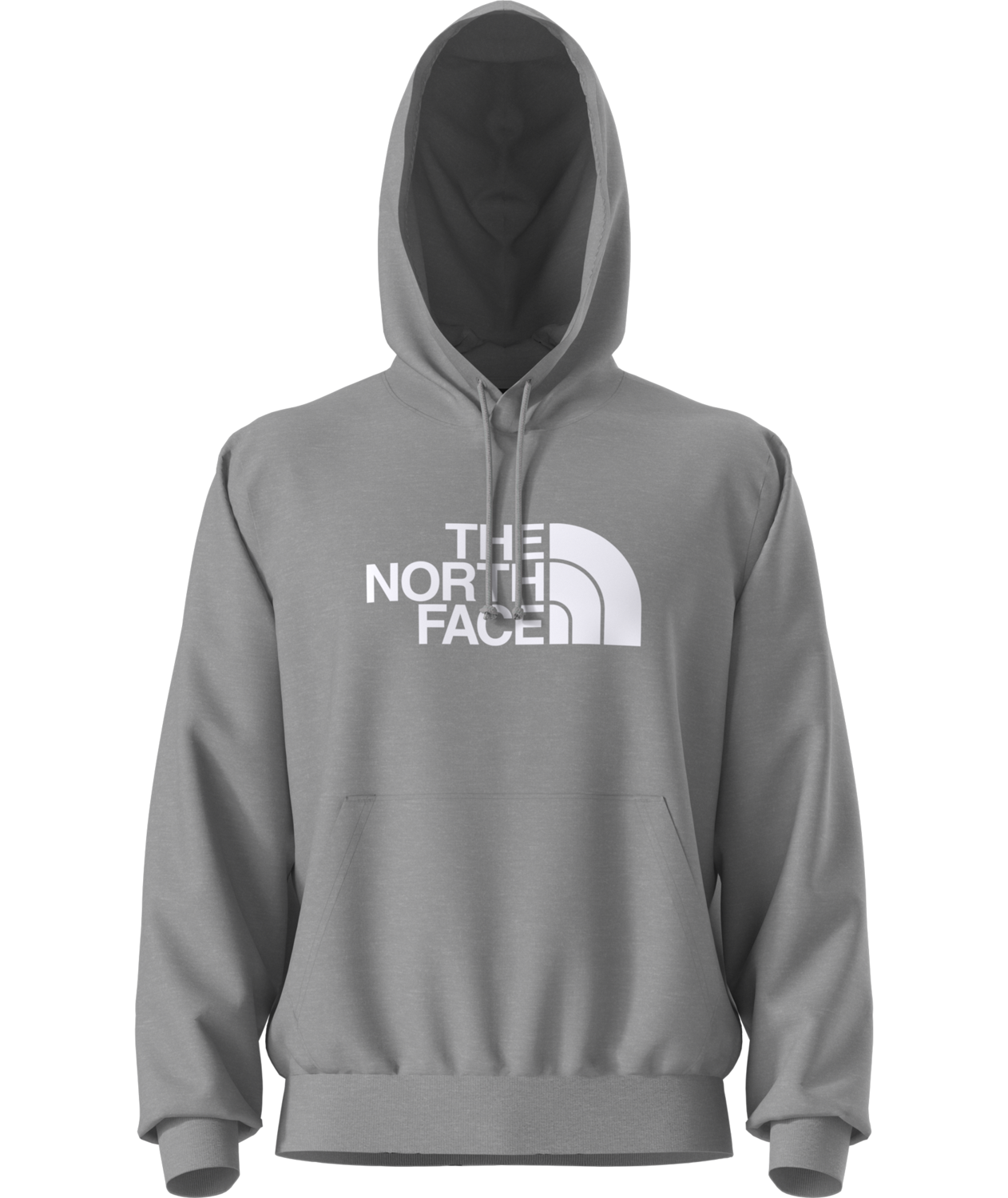 Buzo Evolution Half Dome Hoodie Gris Hombre The North Face