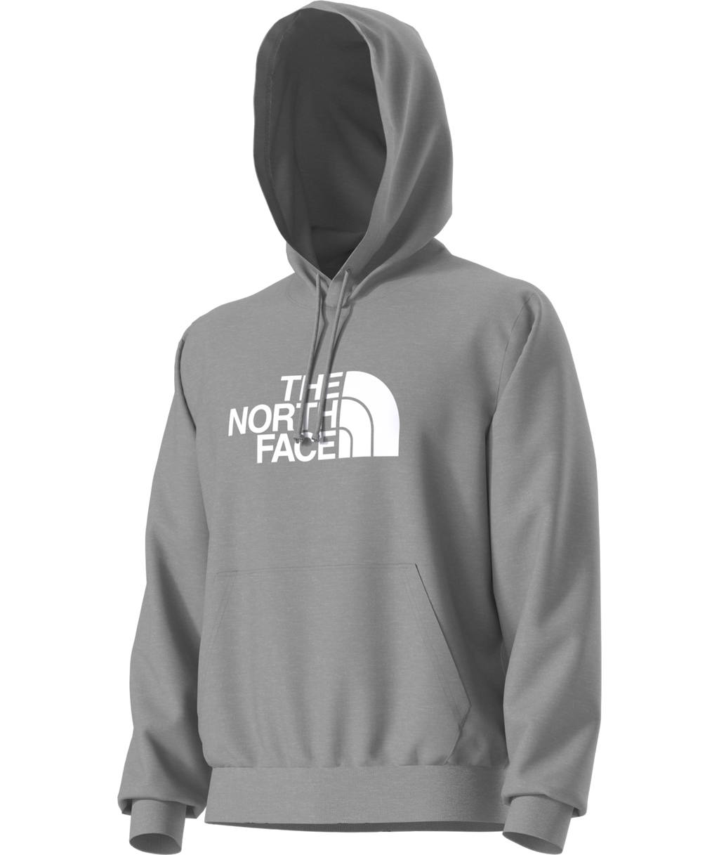 Buzo Evolution Half Dome Hoodie Gris Hombre The North Face