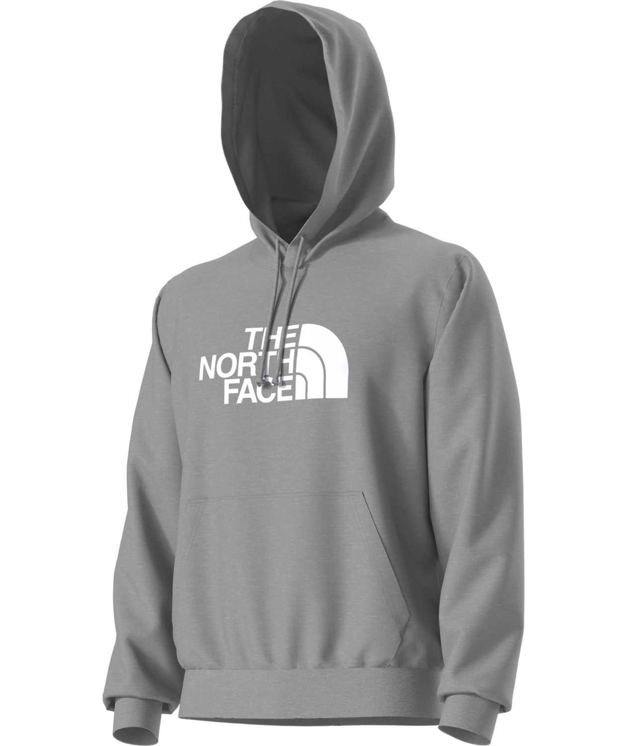 Buzo Evolution Half Dome Hoodie Gris Hombre The North Face