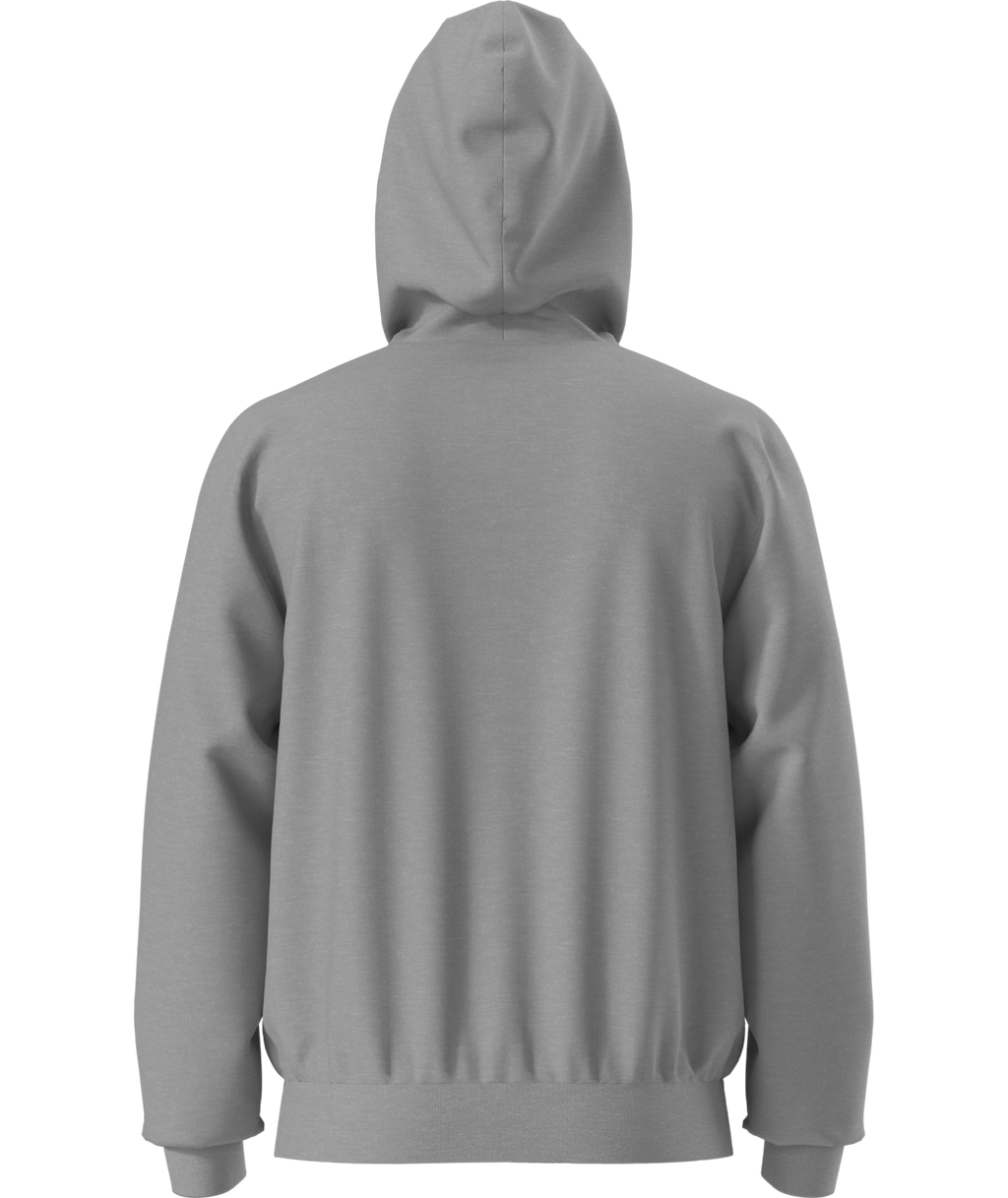 Buzo Evolution Half Dome Hoodie Gris Hombre The North Face
