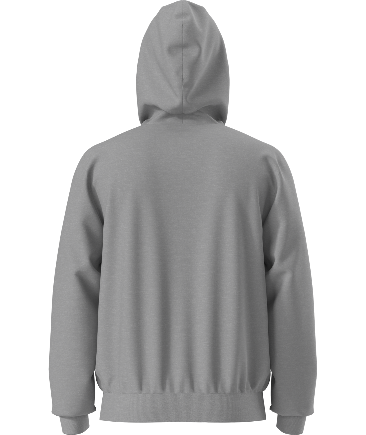 Buzo Evolution Half Dome Hoodie Gris Hombre The North Face