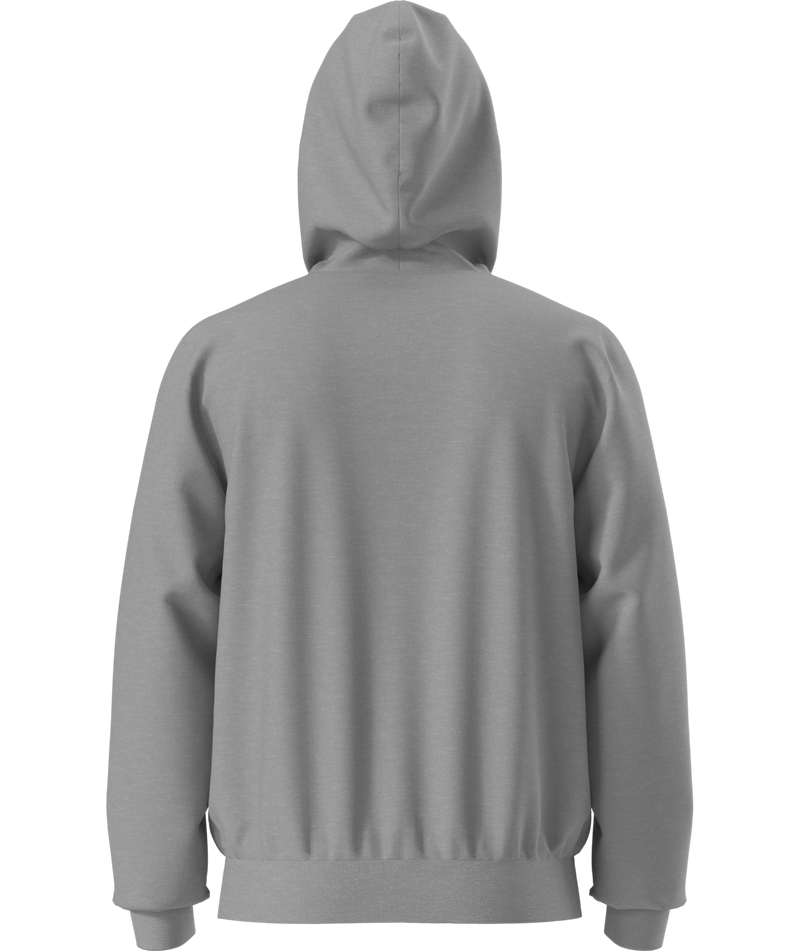 Buzo Evolution Half Dome Hoodie Gris Hombre The North Face