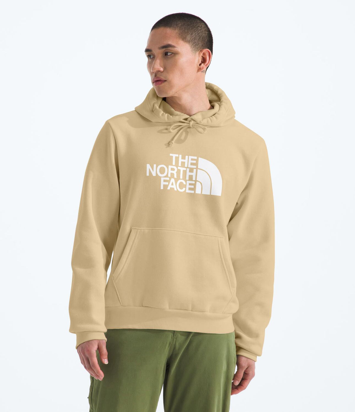 Buzo Evolution Half Dome Hoodie Beige Hombre The North Face