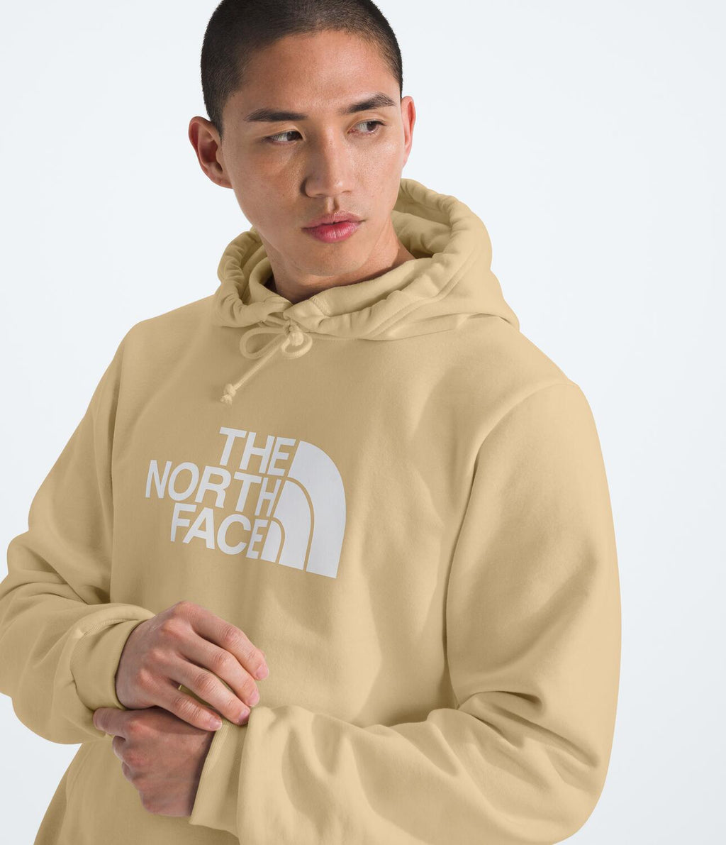 Buzo Evolution Half Dome Hoodie Beige Hombre The North Face