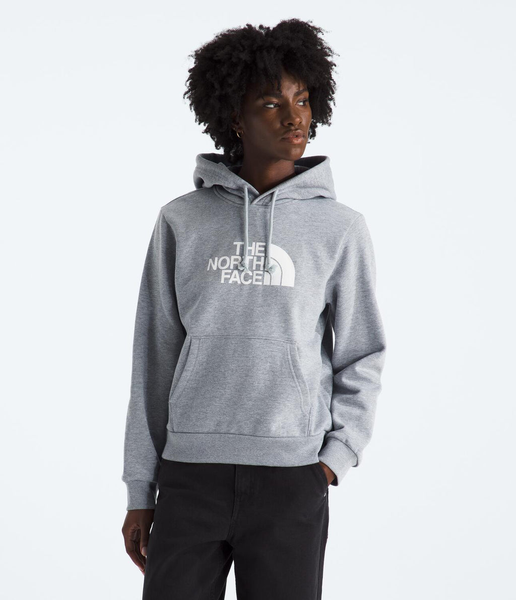 Buzo Evolution Half Dome Hoodie Gris Mujer The North Face