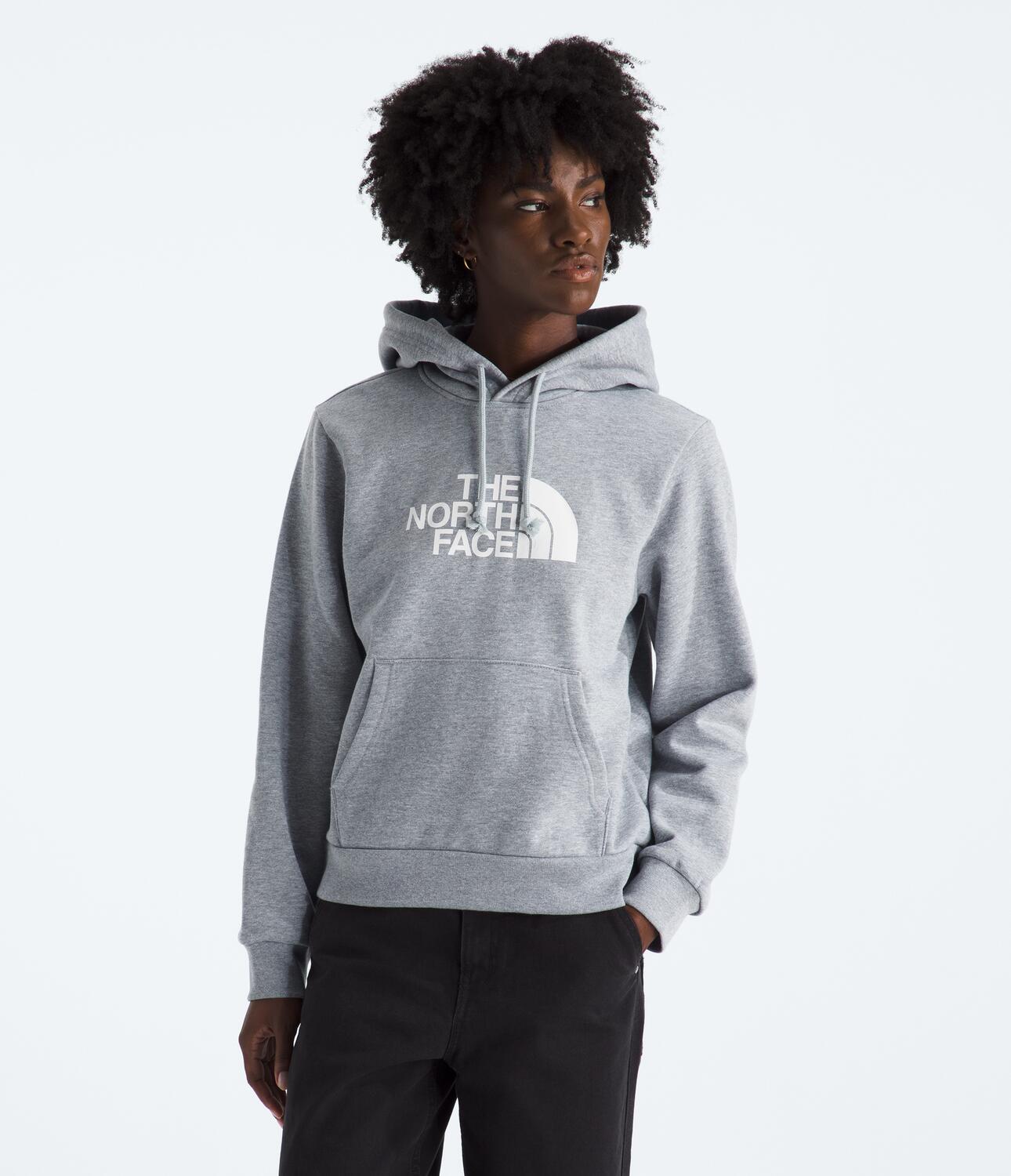Buzo Evolution Half Dome Hoodie Gris Mujer The North Face