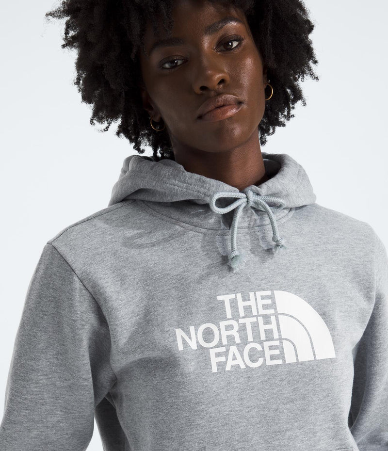 Buzo Evolution Half Dome Hoodie Gris Mujer The North Face