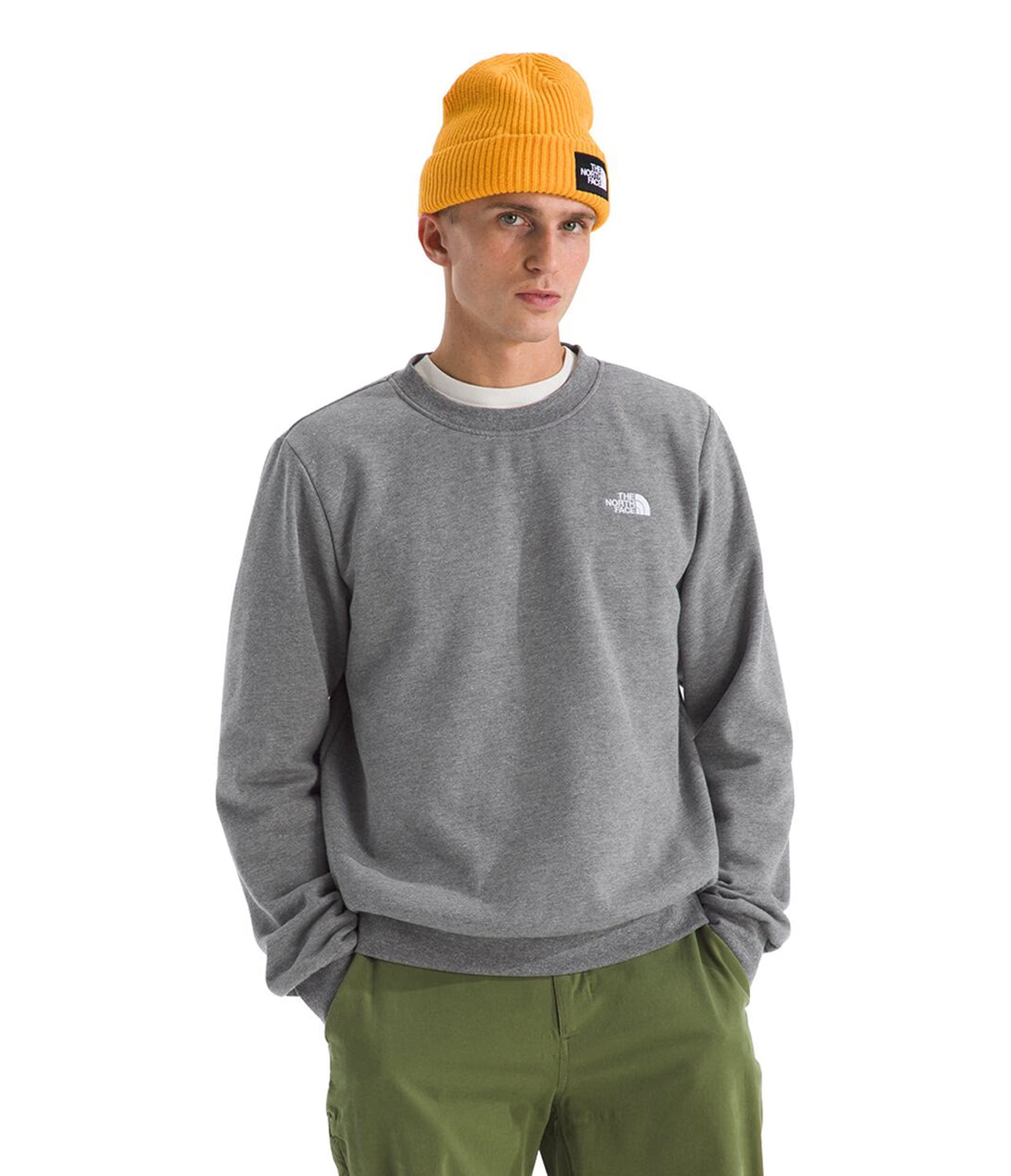 Buzo Evolution Simple Dome Crew Gris Hombre The North Face