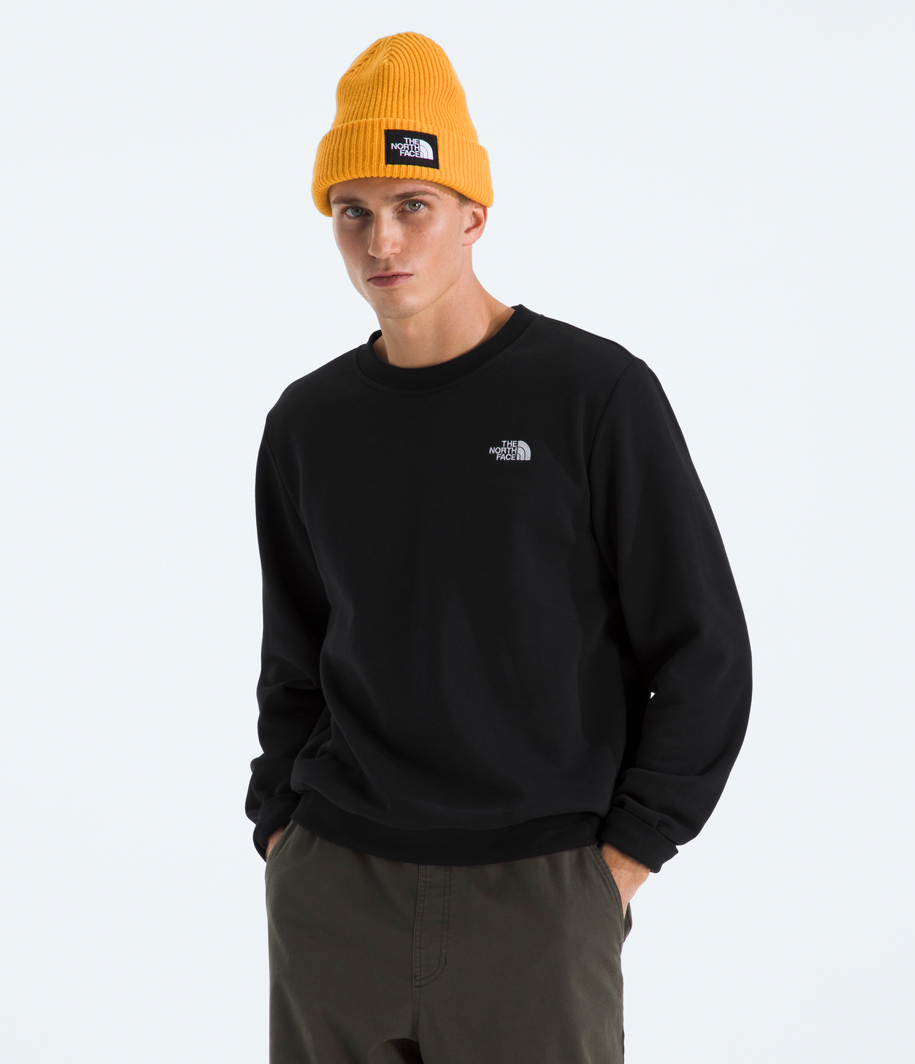 Buzo Evolution Simple Dome Crew Negro Hombre The North Face