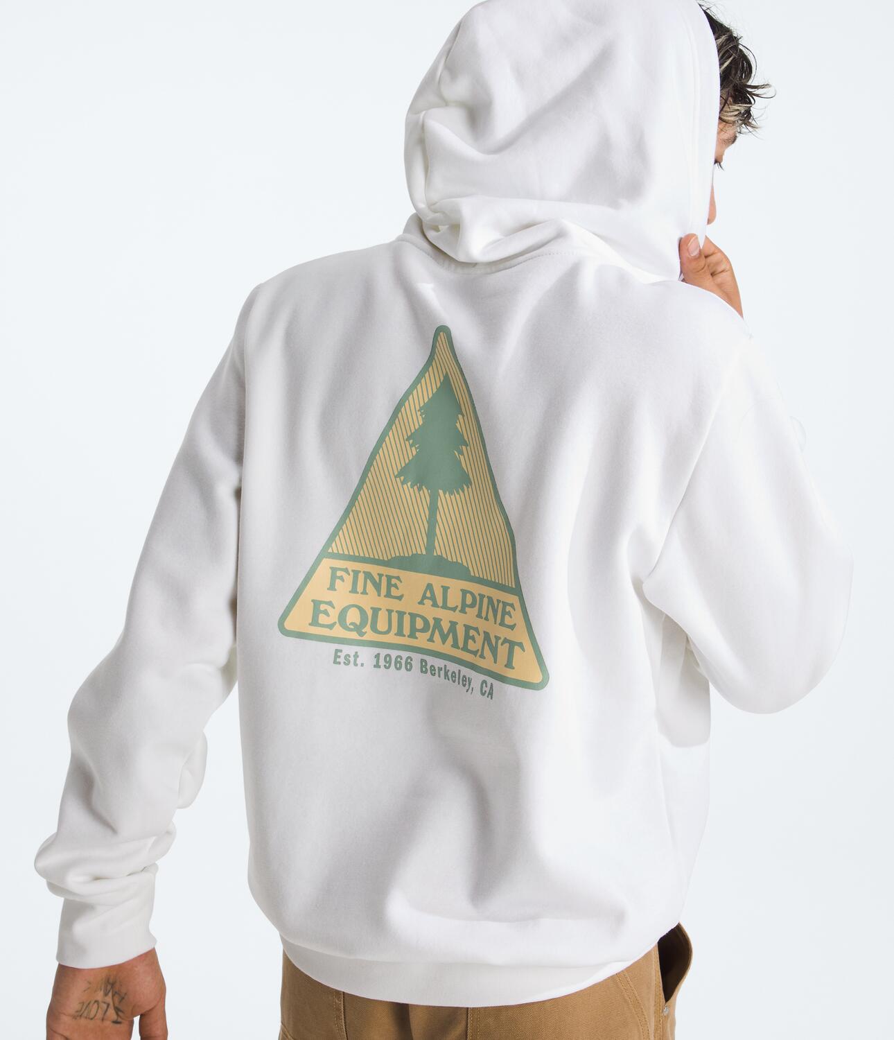 Buzo Evolution Mountain Woods Hoodie -Graphic Blanco Hombre The North Face - imagen 3