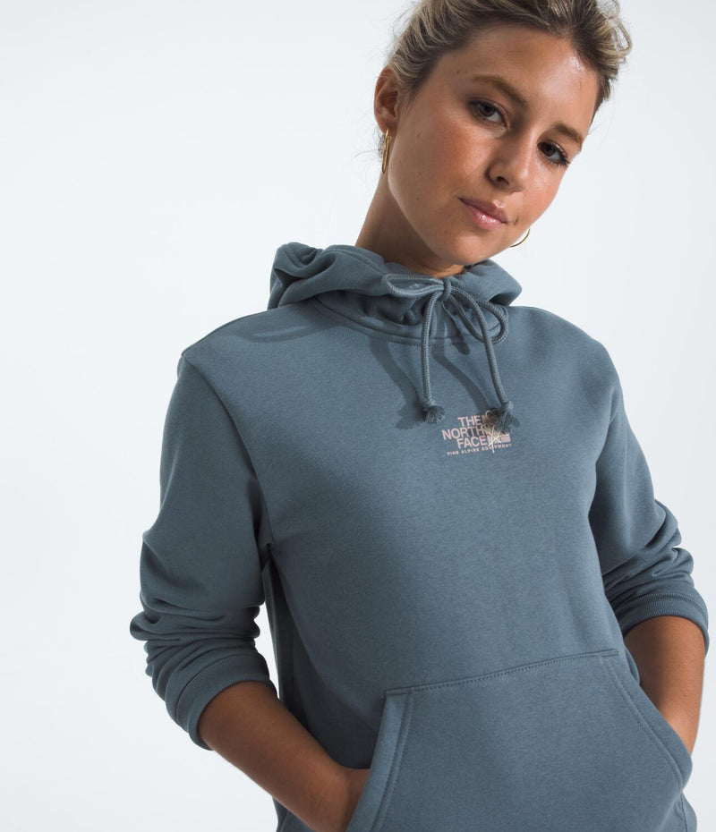 Buzo Evolution Midnight Ember Hoodie Graphic Gris Mujer The North Face